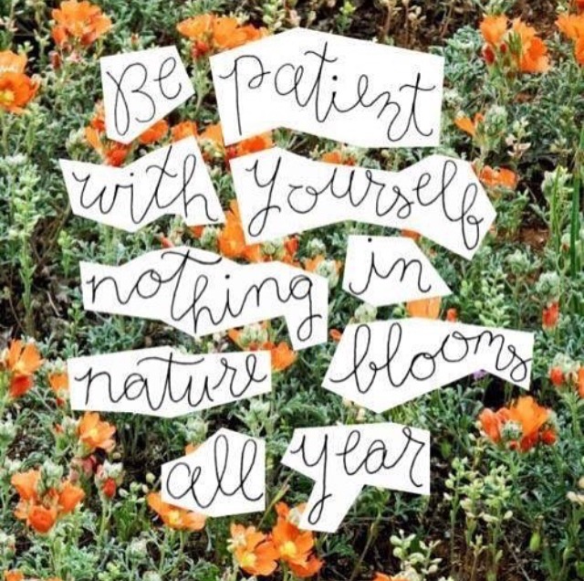 Be patient with yourself, nothing in nature blooms all year