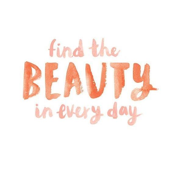 Find the beauty in every day